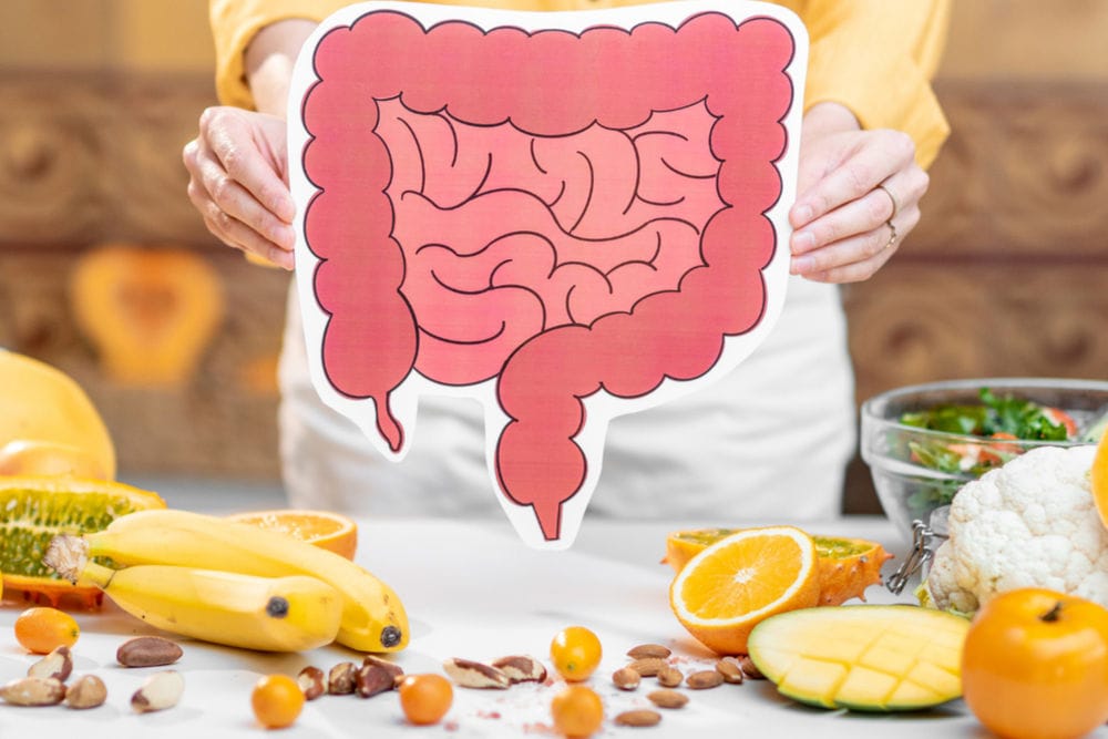 Régime FODMAPs