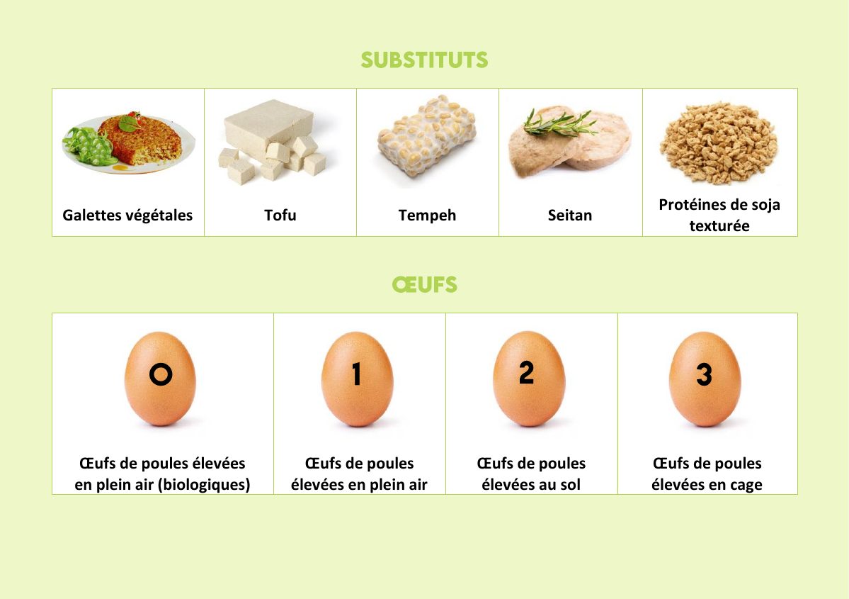 Page Substituts et Œufs : tofu, tempeh, seitan, et les codes 0 à 3 des œufs